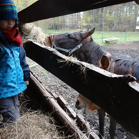Farm stay Agroturystyka Jedrusiowa Chata Kocien Wielki