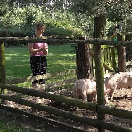 Farm stay Agroturystyka Jedrusiowa Chata Kocien Wielki