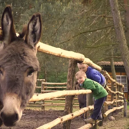 Farm stay Agroturystyka Jedrusiowa Chata *