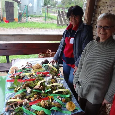 Agroturystyka Jedrusiowa Chata Kocien Wielki