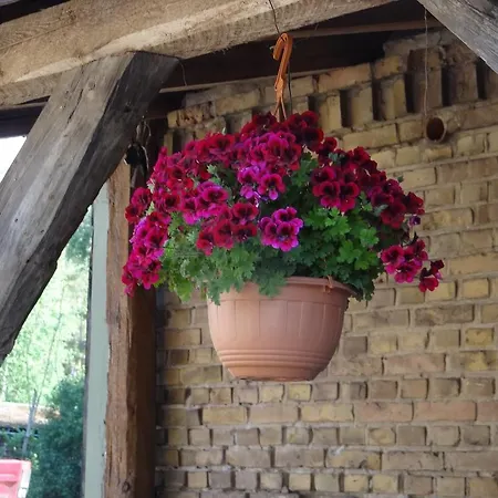 Agroturystyka Jedrusiowa Chata Kocien Wielki