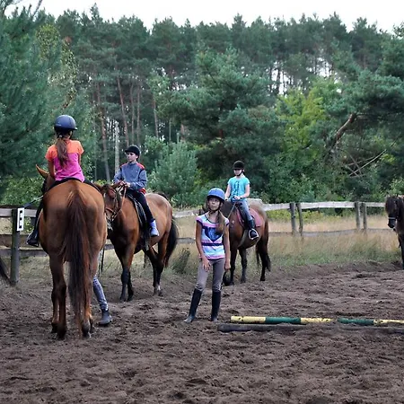 Agroturystyka Jedrusiowa Chata